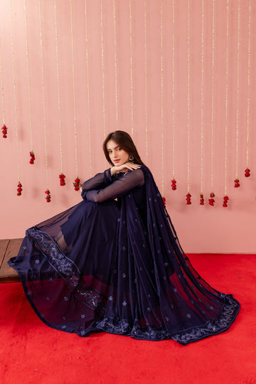 Embroidered Chiffon Dress - NB02
